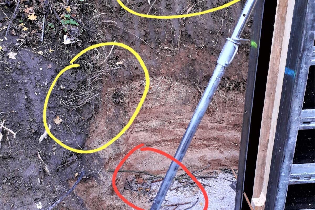 Ökologische Baubegleitung (ÖBB) & Bauüberwachung | Baustellen